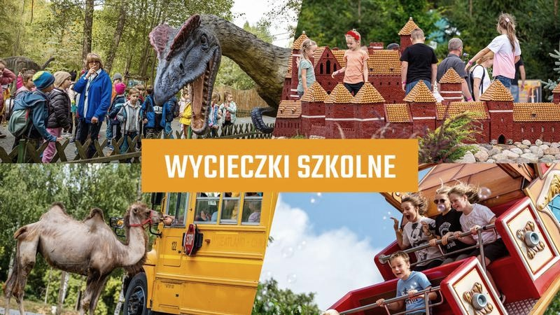 Organizacja wycieczki szkolnej: jak uniknąć błędów i zadbać o bezpieczeństwo?