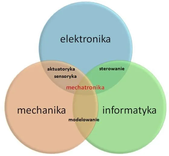 Technik mechatronik – czy warto wybrać tę ścieżkę zawodową? Zarobki, praca i egzaminy w pigułce