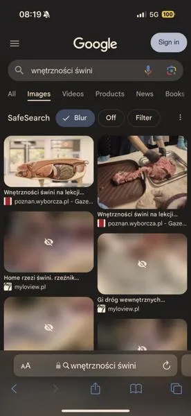Bezpieczne przeszukiwanie internetu