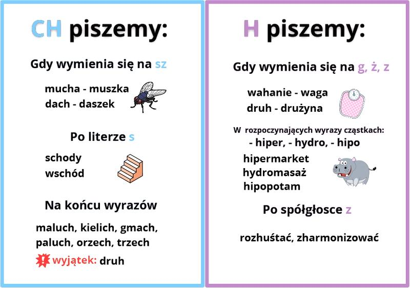 Pisownia słów