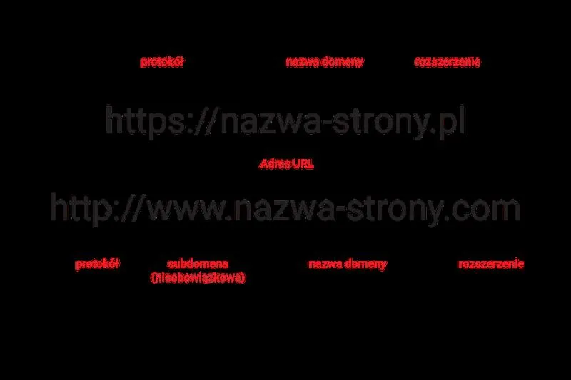 Wpływ domeny na sukces